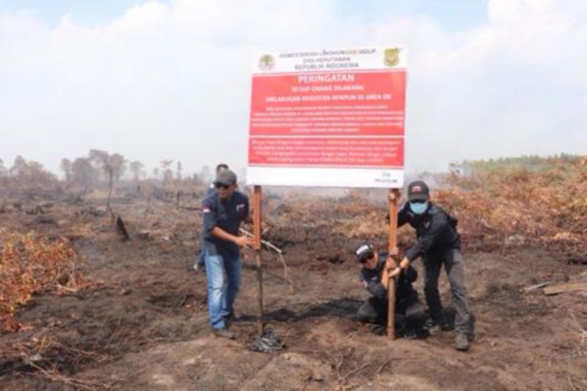 KLHK segel lahan-lahan di areal konsesi yang terbakar di wilayah Kalbar