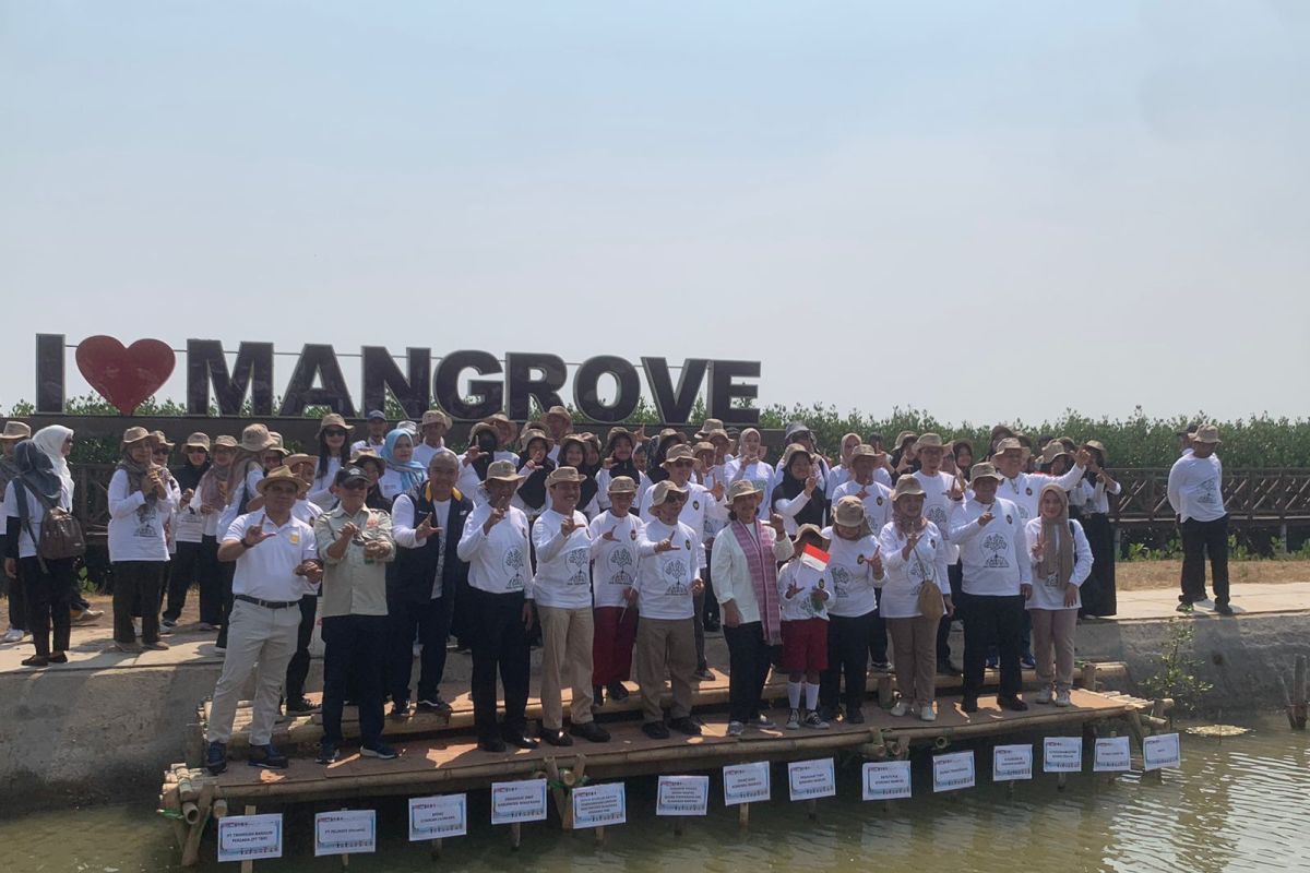 Pelindo rehabilitasi 222 hektare hutan mangrove