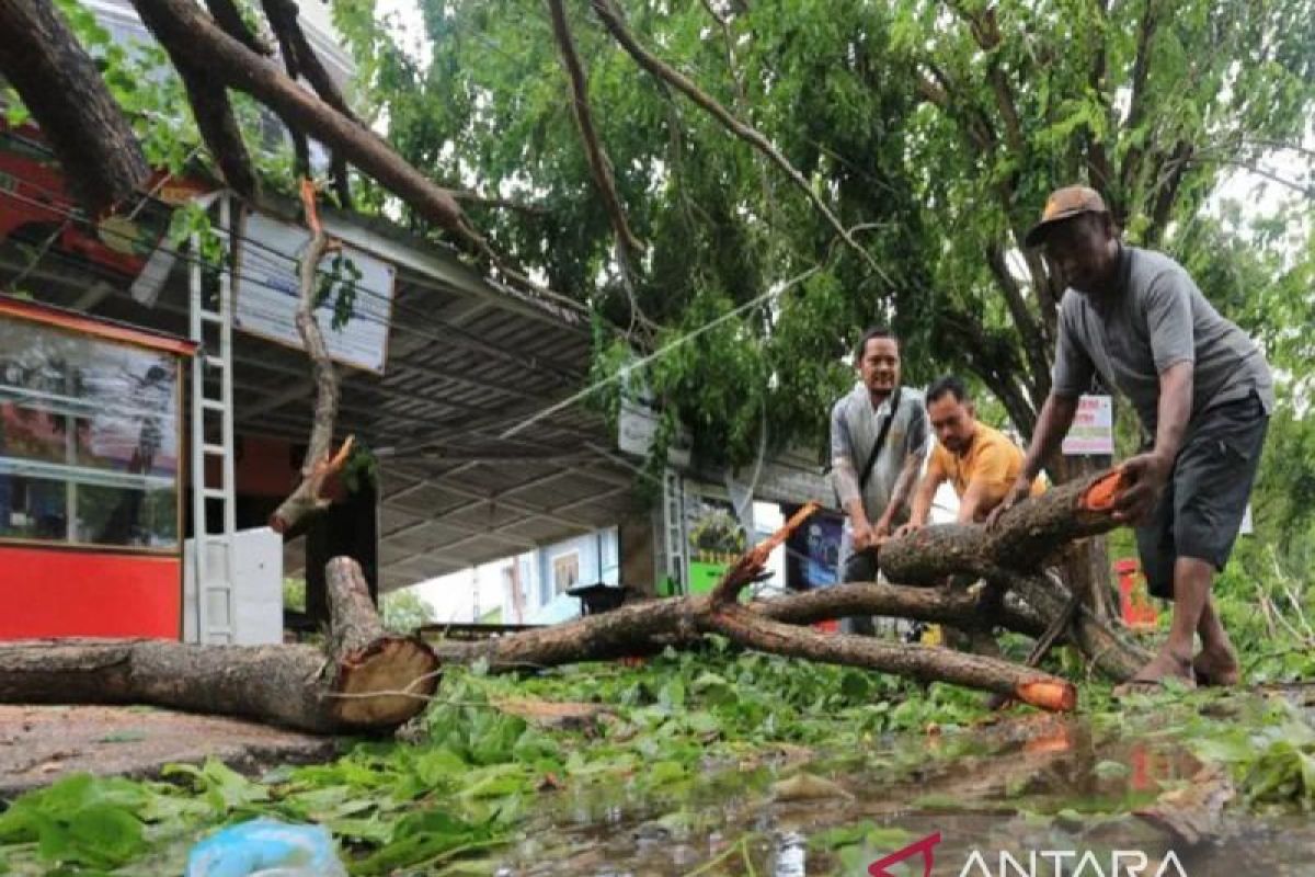 Diprediksi akan ada cuaca ekstrem, BPBK imbau warga Aceh Jaya waspada bencana
