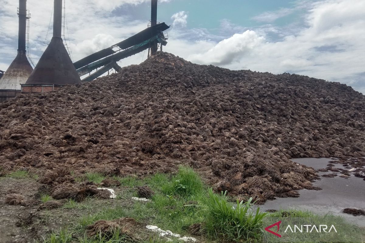 Pemkab Mukomuko fasilitasi petani sawit dapatkan pupuk gratis dari limbah