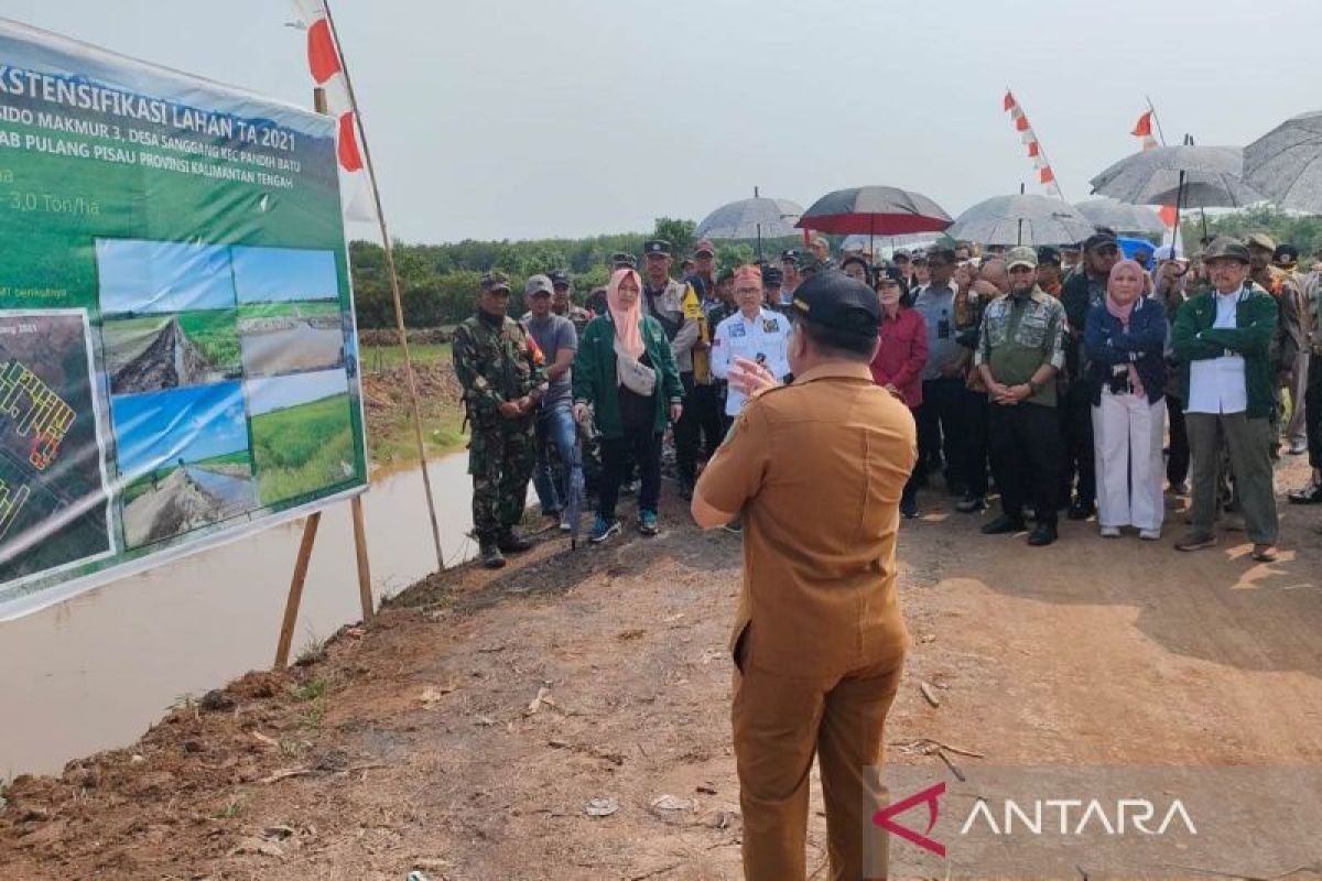 Kunjungi lokasi, DPD RI nilai food estate di Kalteng berhasil dan harus dilanjutkan