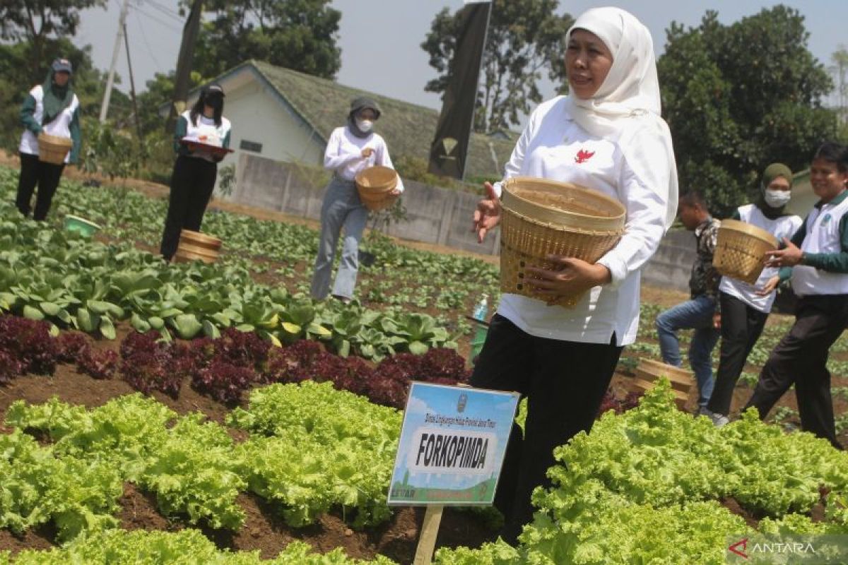 Gubernur Jatim Hadiri Puncak Peringatan Hari Lingkungan Hidup Antara News