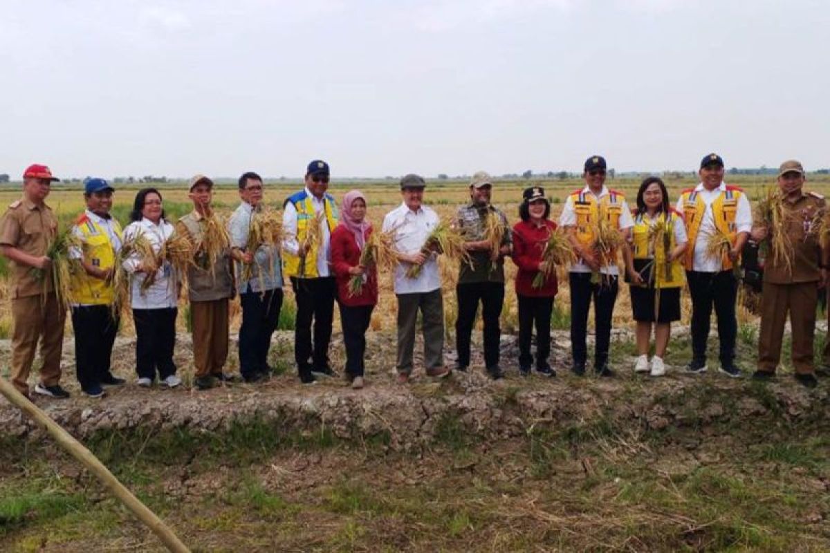 Anggota DPD minta food estate  Kalteng dilaksanakan secara konsisten