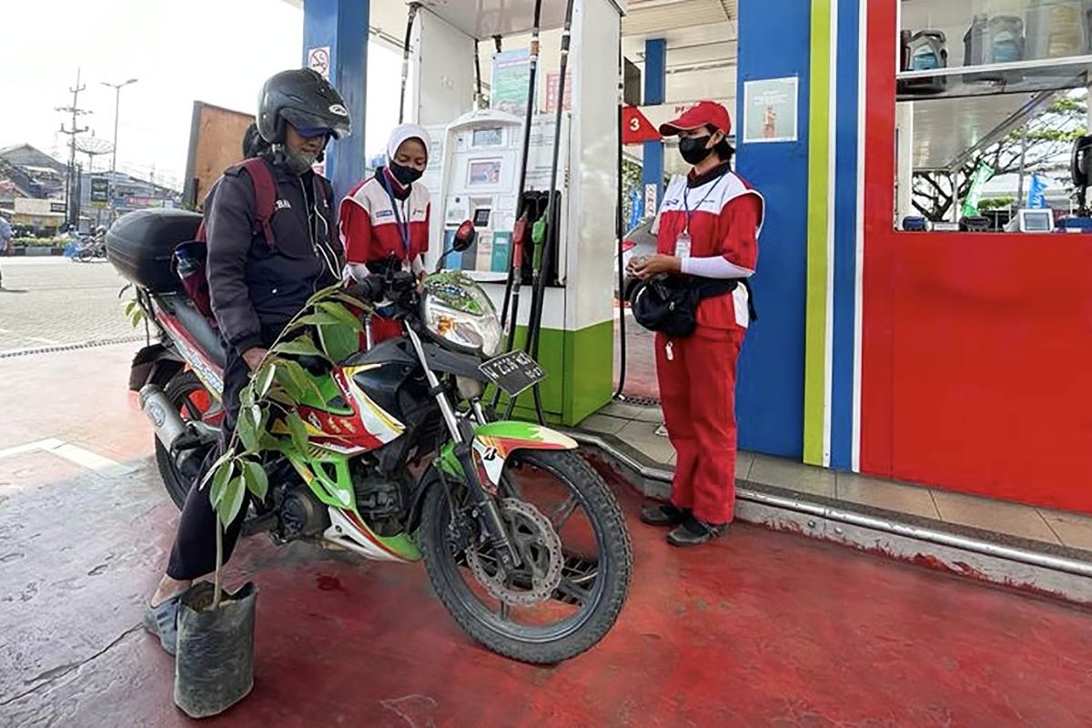 Pertamina bagikan bibit pohon peringati Hari Pelanggan Nasional