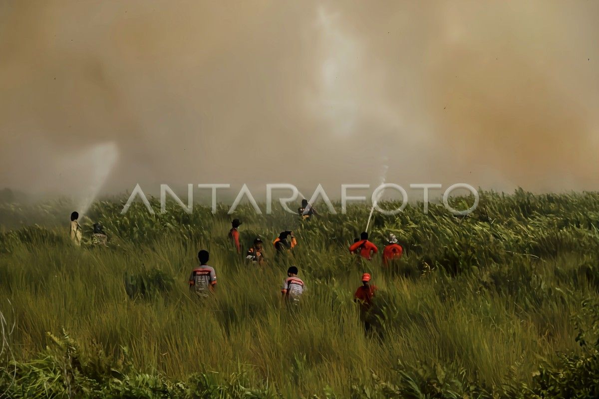 Pemprov Kalteng optimalkan Brigade Karlanbun dalam pengendalian kebakaran