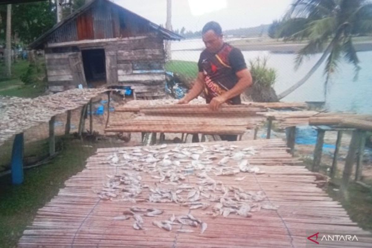 Masyarakat pembuat ikan kering di Pasaman Barat keluhkan harga garam naik