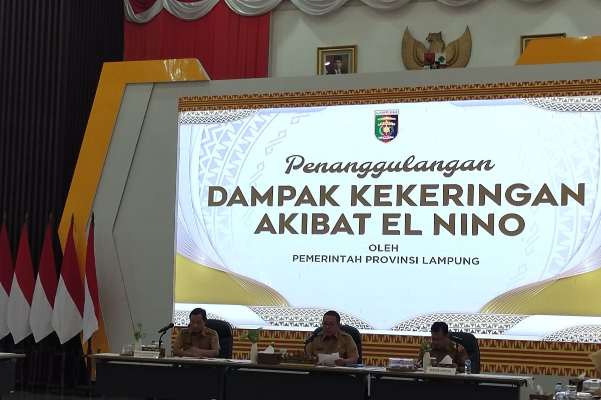 Pemprov Lampung targetkan tanam padi pada September 23.736 hektare