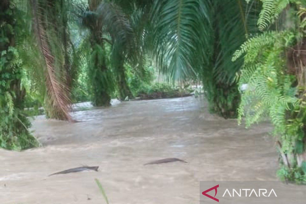 Tujuh kecamatan terendam banjir di Aceh Utara, begini penjelasannya
