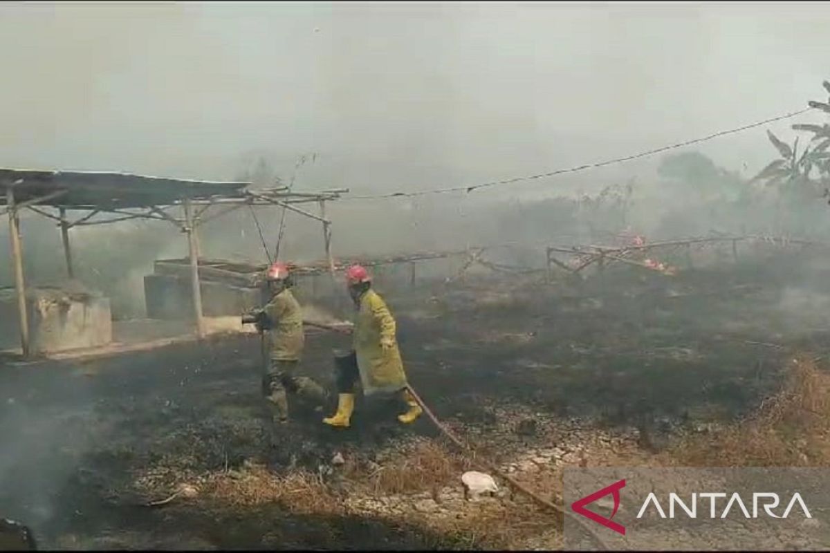 Kebakaran landa sentra pengolahan ikan asin di Palabuhanratu