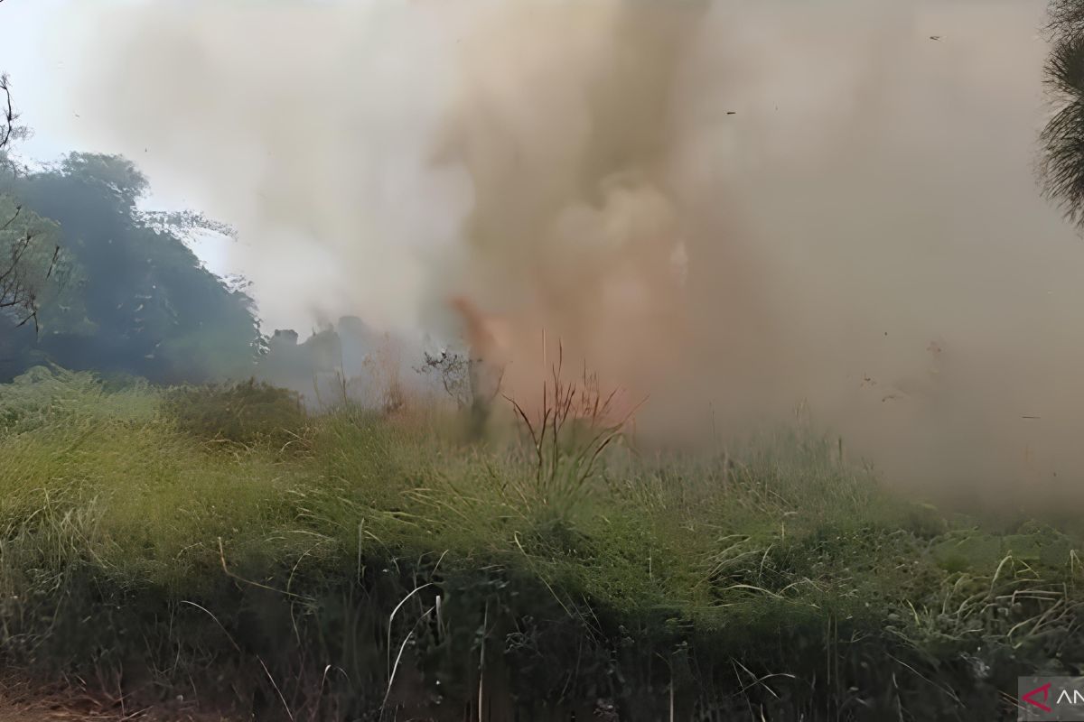 Kebakaran lahan di BSD Tangerang, sejumlah mobil pemadam diturunkan