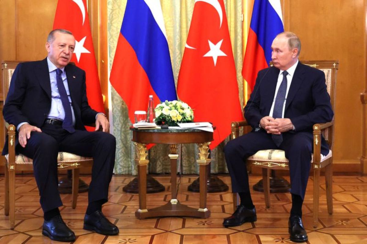 Presiden Putin sebut Moskow siap hidupkan kembali kesepakatan gandum Laut Hitam