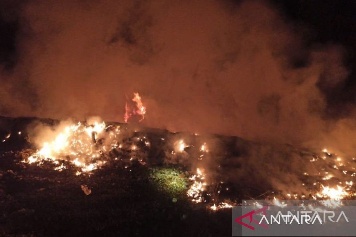 BPBD Babel tangani kebakaran lahan seluas 806,31 hektare selama 2023