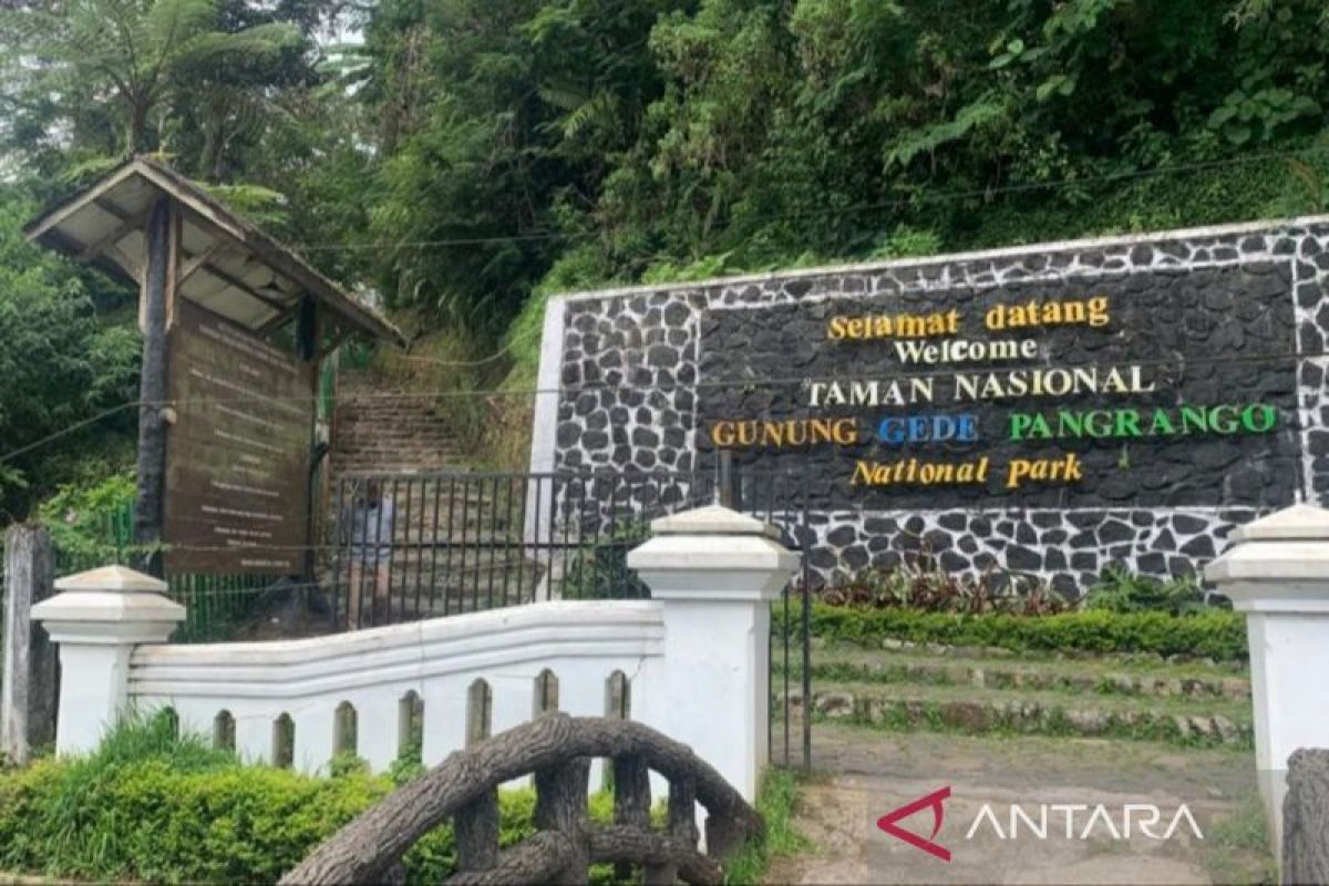 TGNPP buka kembali jalur pendakian Gunung Gede Pangrango melalui Cibodas