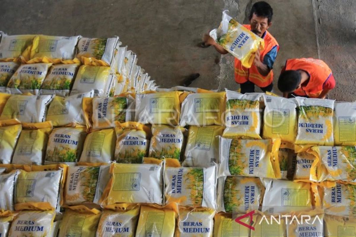 Harga beras kualitas biasa di Abdya, Aceh mencapai Rp12.000 per kg
