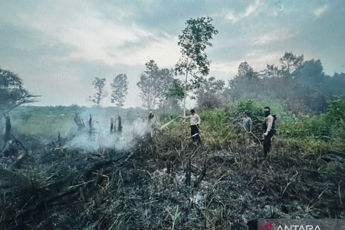 Satgas Polres Musi Banyuasin tangkap pembakar lahan