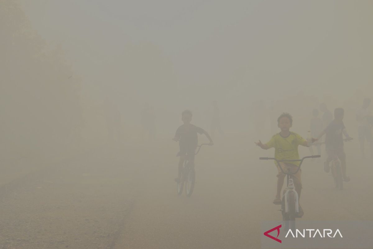 BMKG: Waspada kabut asap akibat karhutla di seluruh wilayah Kalsel pada Kamis