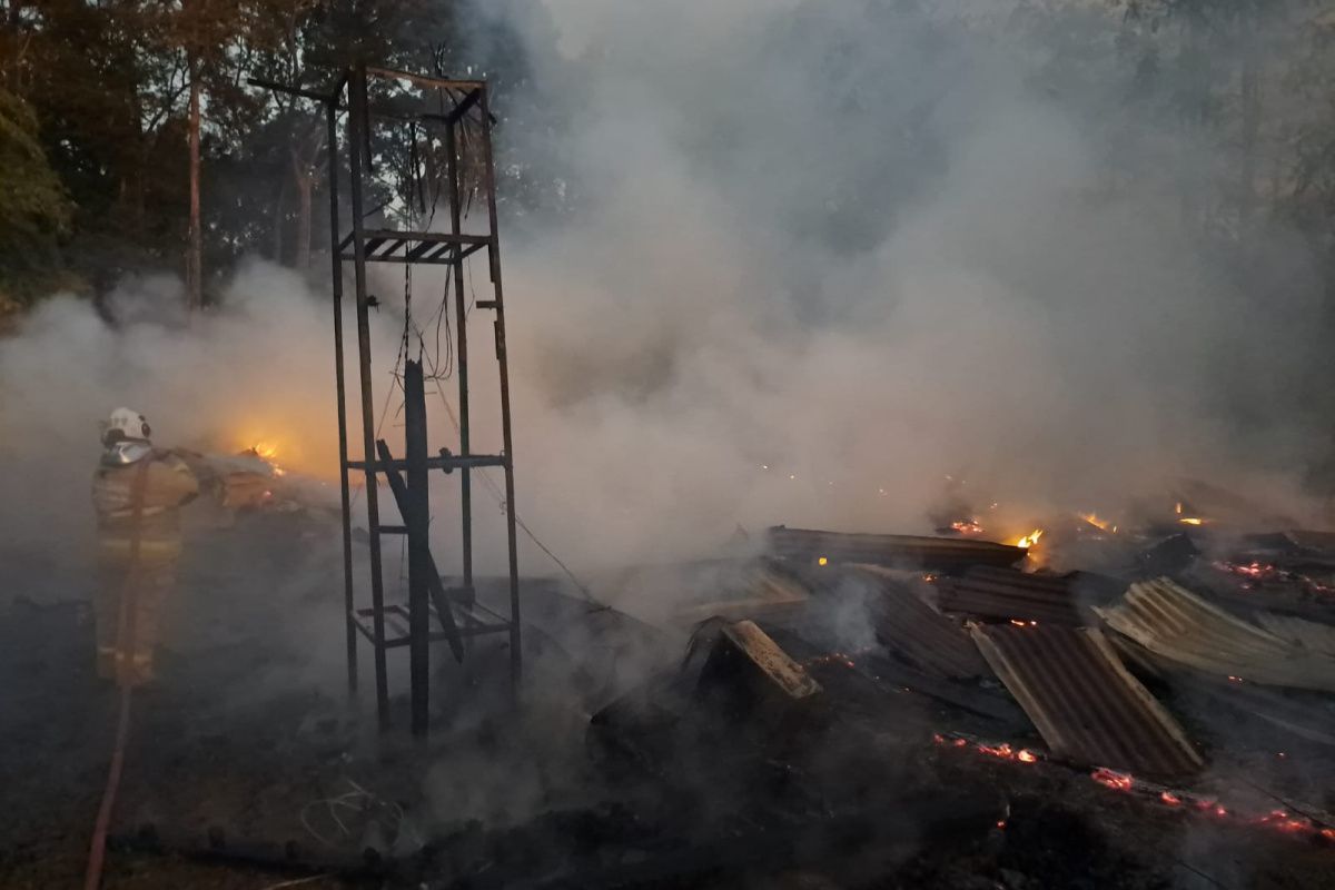 Kebakaran peternakan di Mijen, ribuan ayam ikut terpanggang
