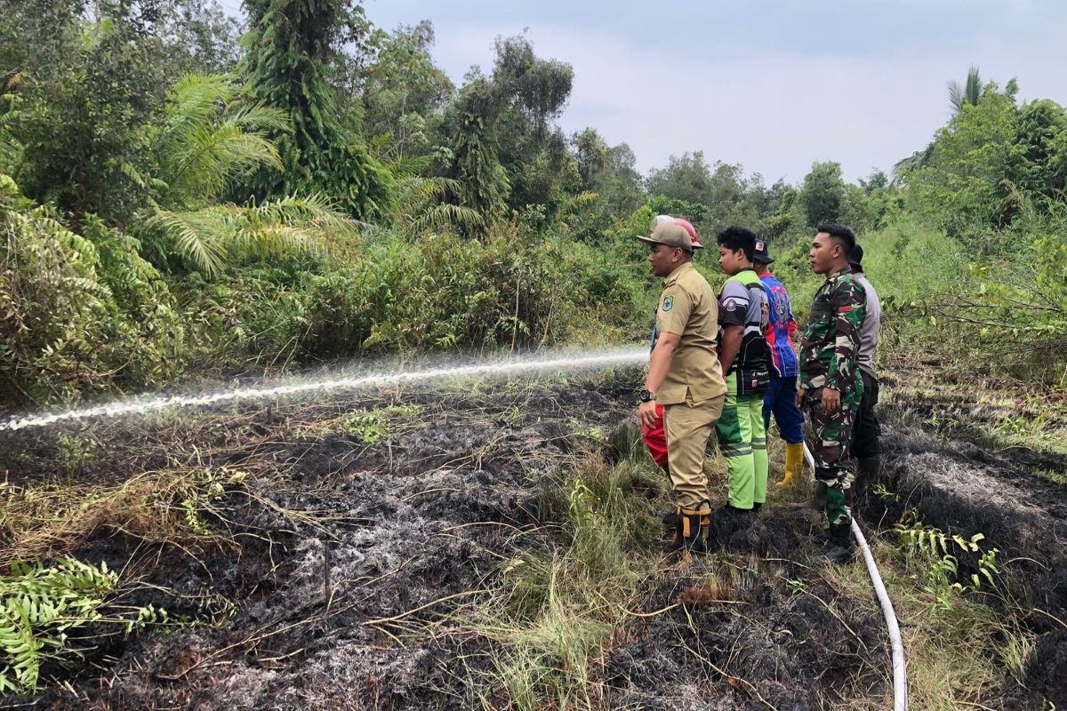 Sudah 580,6 hektare lahan terbakar di Kapuas