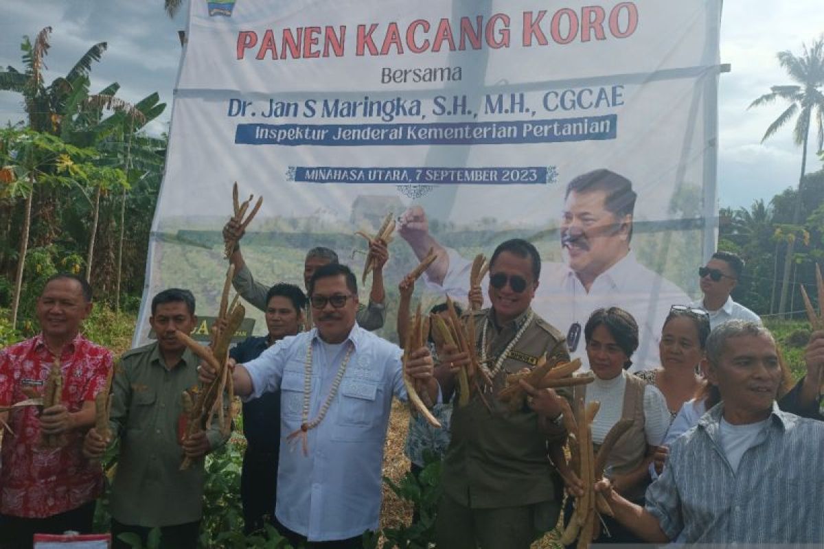 Kementerian Pertanian  perkenalkan kacang Koro sebagai substitusi kedelai