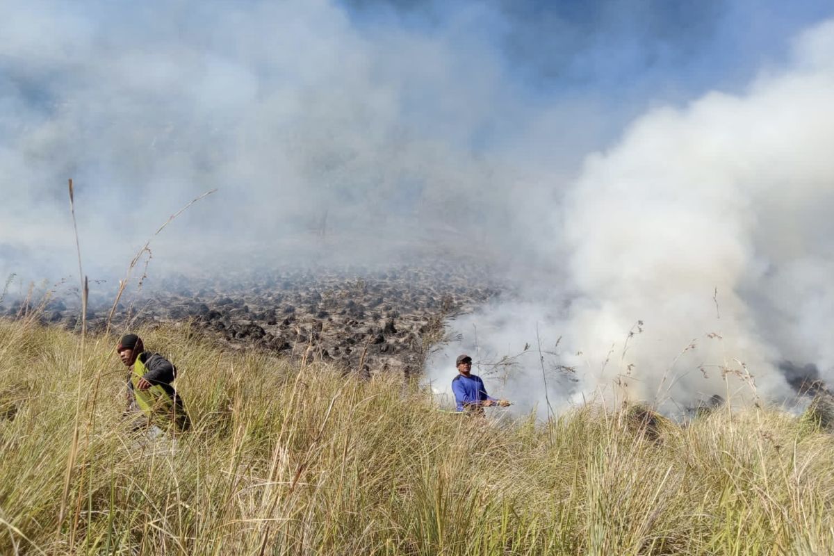 Kebakaran lahan di Bukit Teletubbies diduga dipicu ulah pengunjung