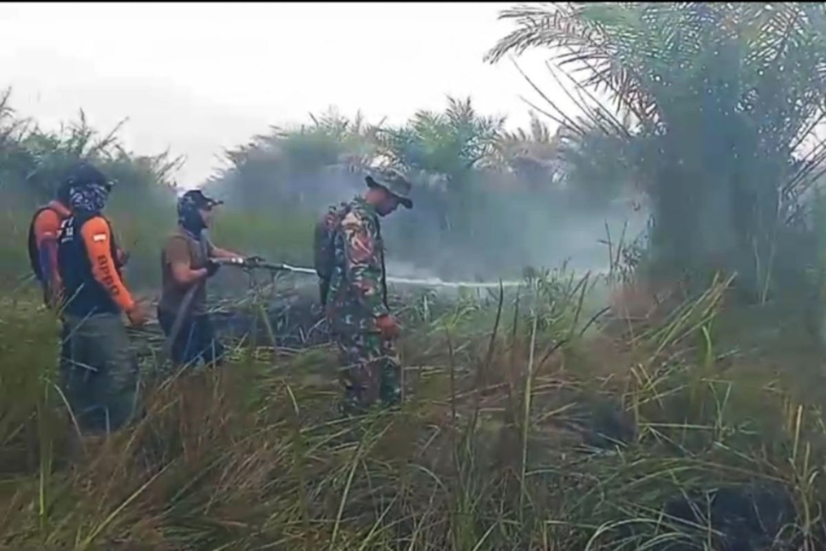 Karhutla hanguskan kebun sawit di Tapin