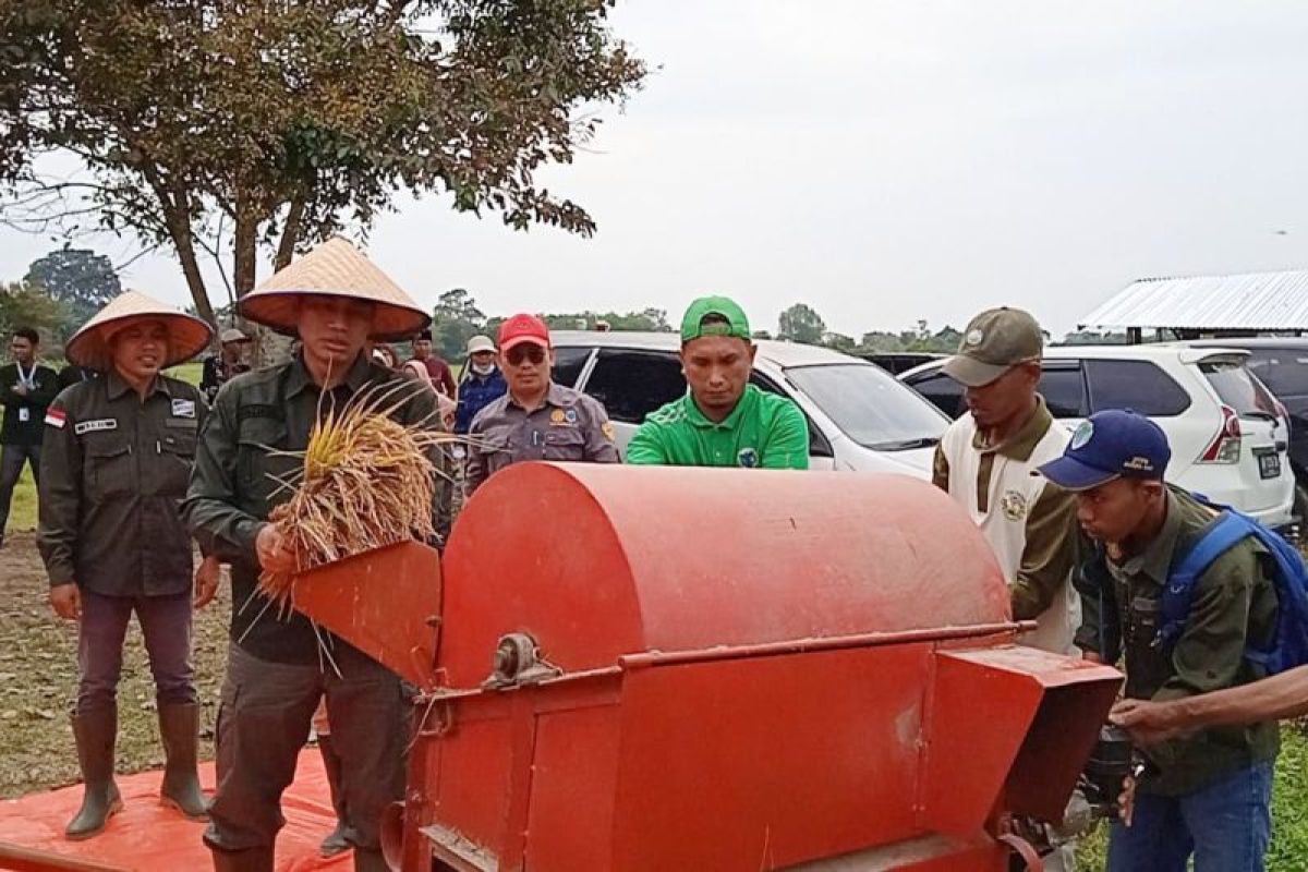 Bupati Batanghari hadir kegiatan panen raya di Desa Terusan
