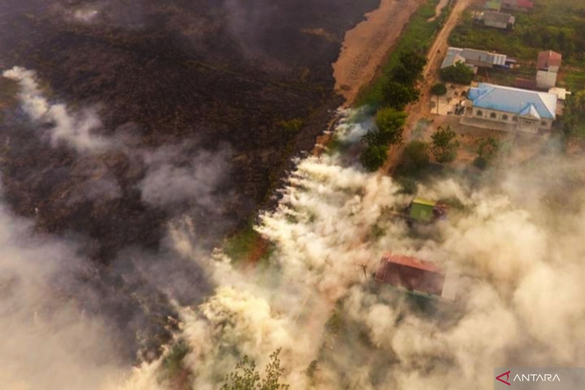 12 hektare belukar dan sawit terbakar di Tapin Kalsel