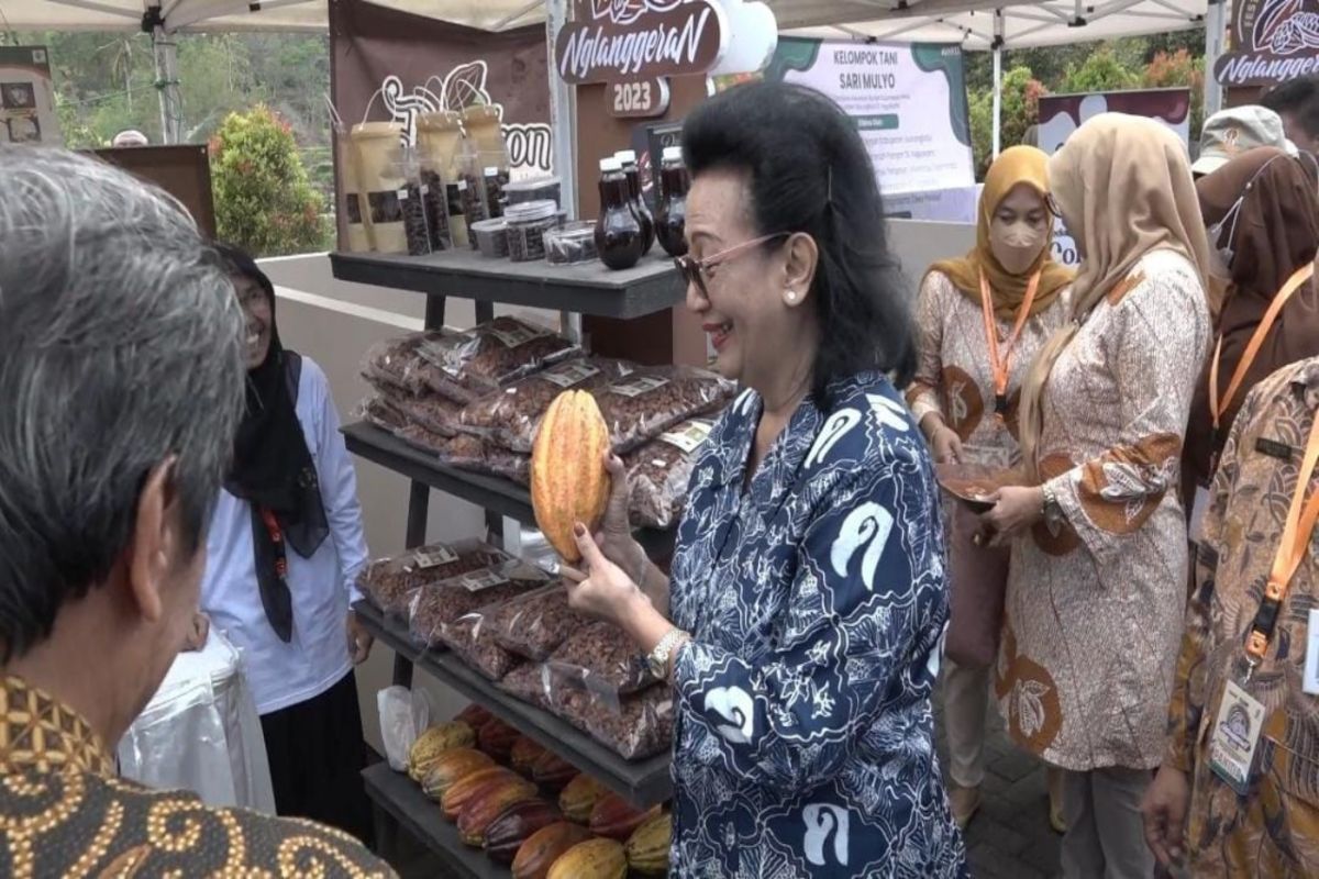 DPKP DIY selenggarakan festival cokelat di Nglanggeran