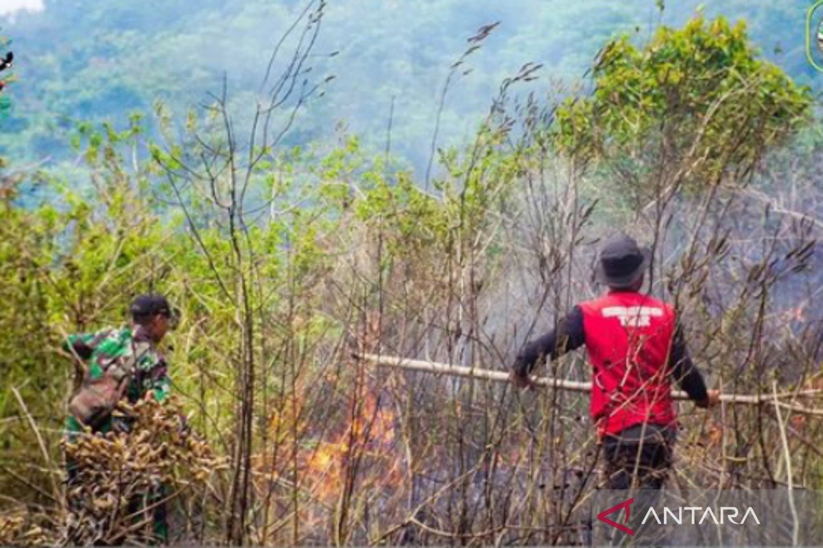 Kebakaran lahan di TNGR Lombok telah padam