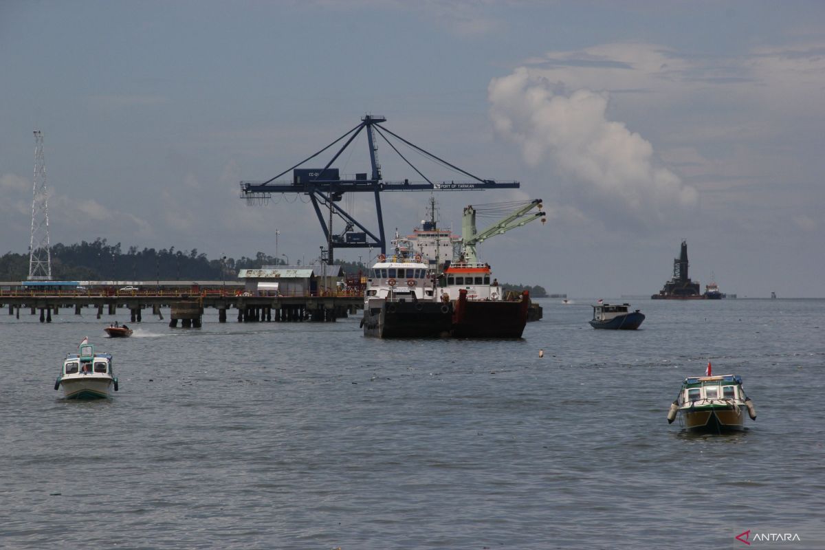 Neraca perdagangan Kalimantan Utara surplus 248,5 juta dolar AS