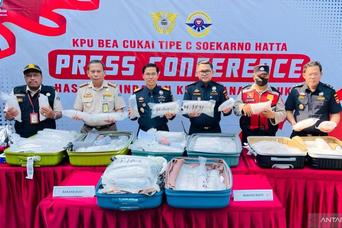 BC Soetta gagalkan penyelundupan benih lobster senilai Rp26,5 miliar