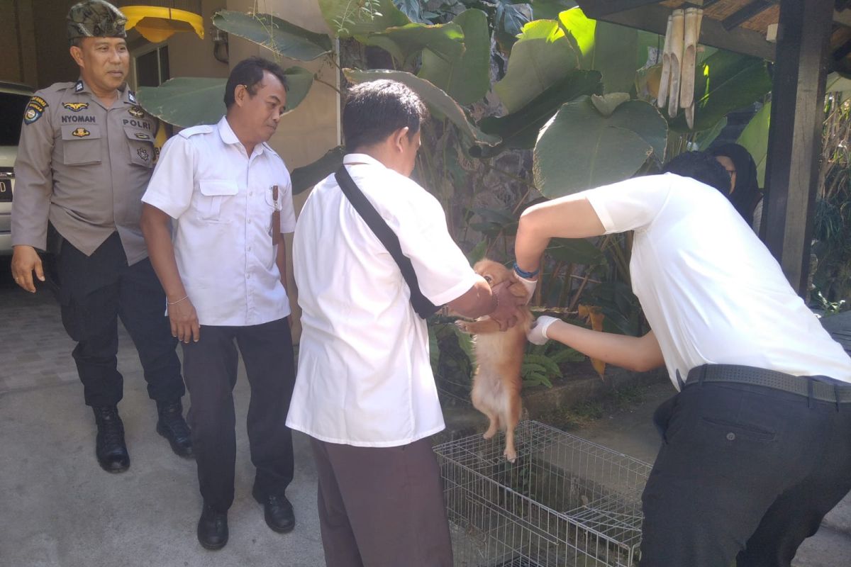 Distan Mataram memvaksinasi 1.500 ekor anjing antisipasi rabies