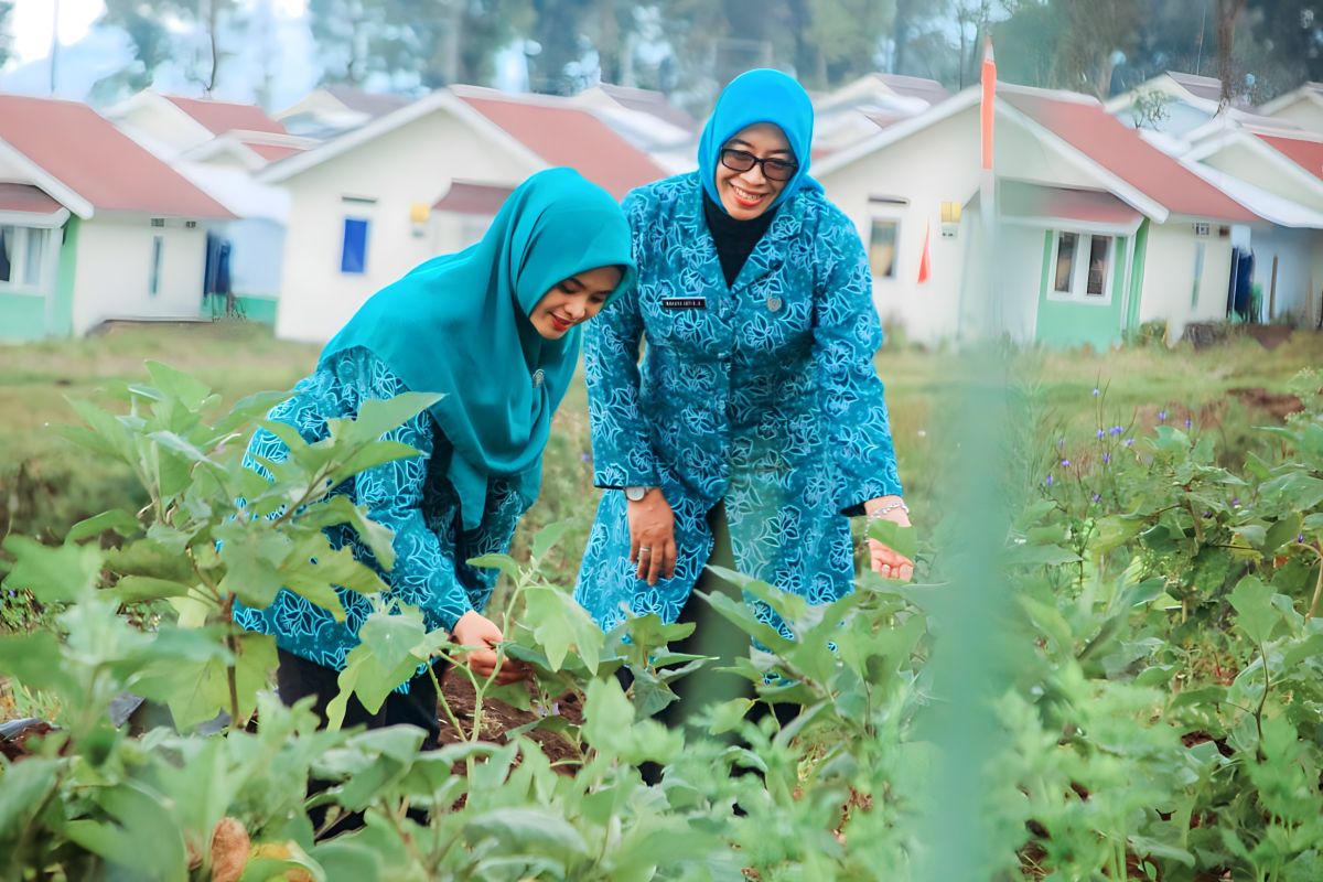 PKK Lumajang tanam ribuan bibit sayur di relokasi penyintas Semeru