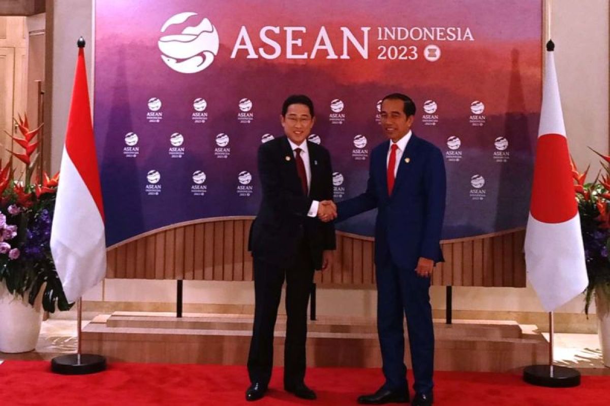 Widodo lauds Indonesia-Japan partnership upgrade