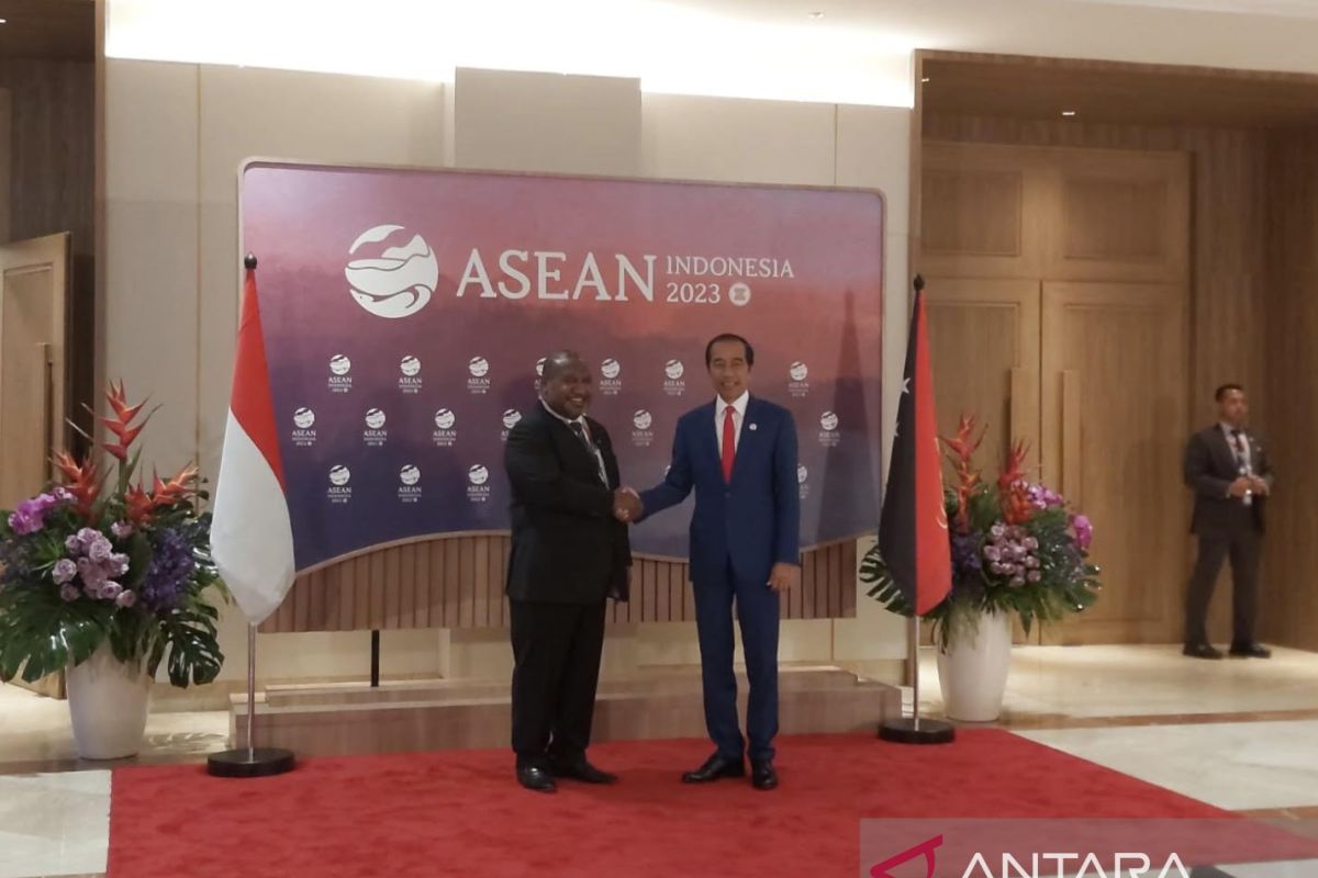 Presiden Jokowi mengapresiasi dukungan Papua Nugini terhadap kedaulatan Indonesia