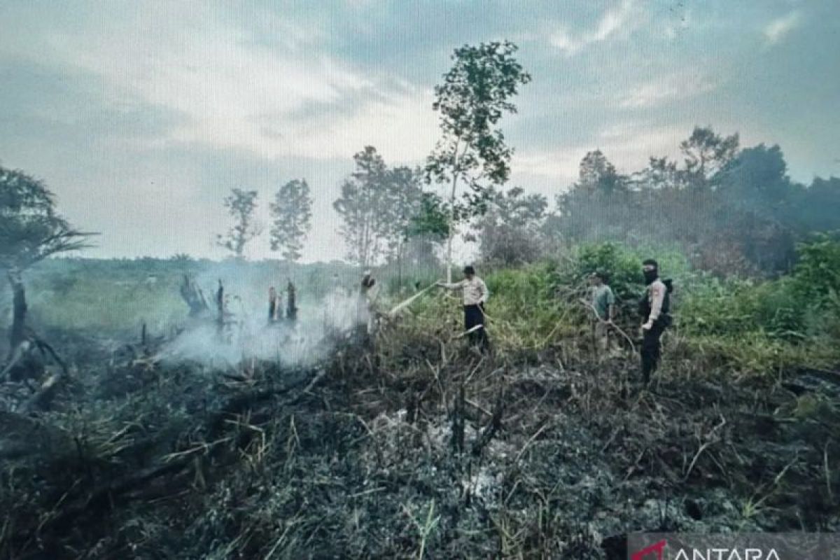 Polda Sumsel tangkap 26 tersangka dalam 16 kasus pembakaran lahan