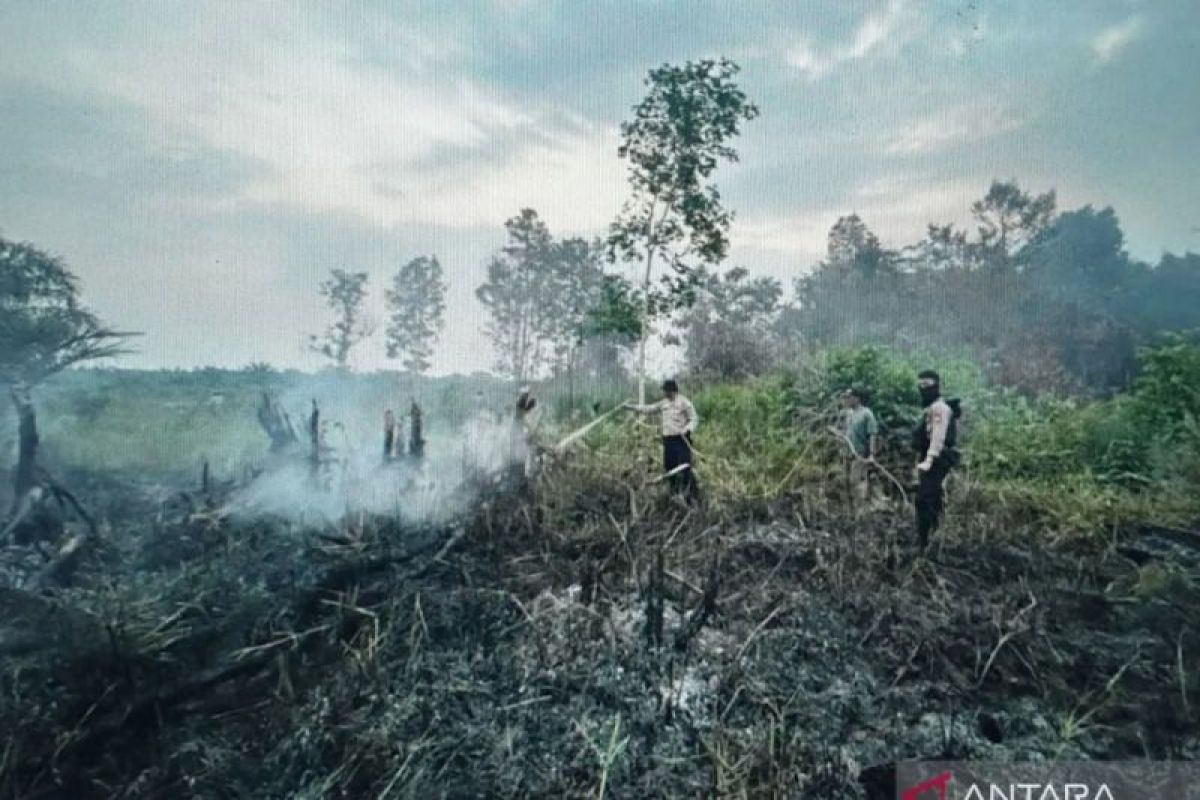 Polda Sumsel tangani kasus pembakaran lahan