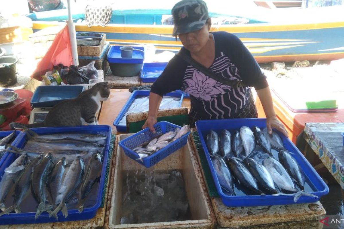 BKIPM Denpasar inisiasi efisiensi birokrasi untuk genjot ekspor ikan di Bali