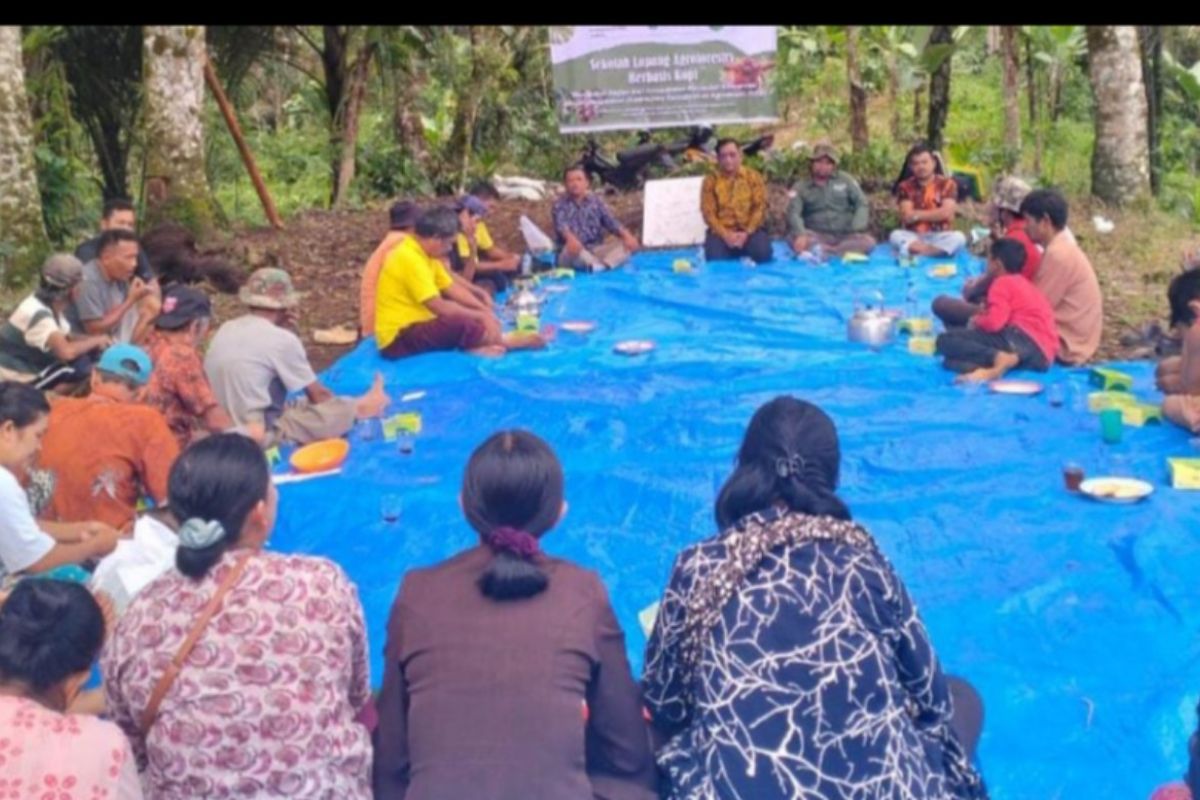 Wabup Tapsel penyuluhan dan motivasi petani kopi di Desa Batusatail