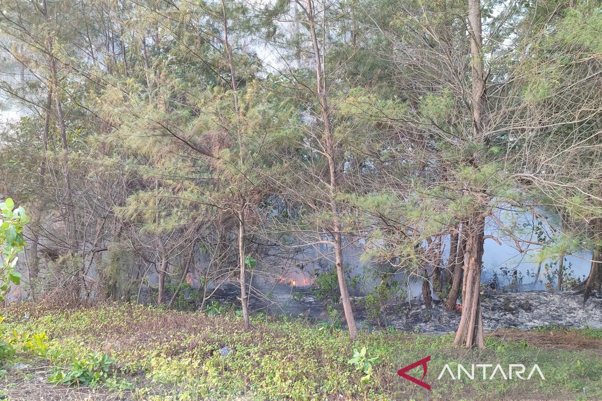 BMKG deteksi 26 titik panas di Bengkulu berpotensi terjadi kebakaran