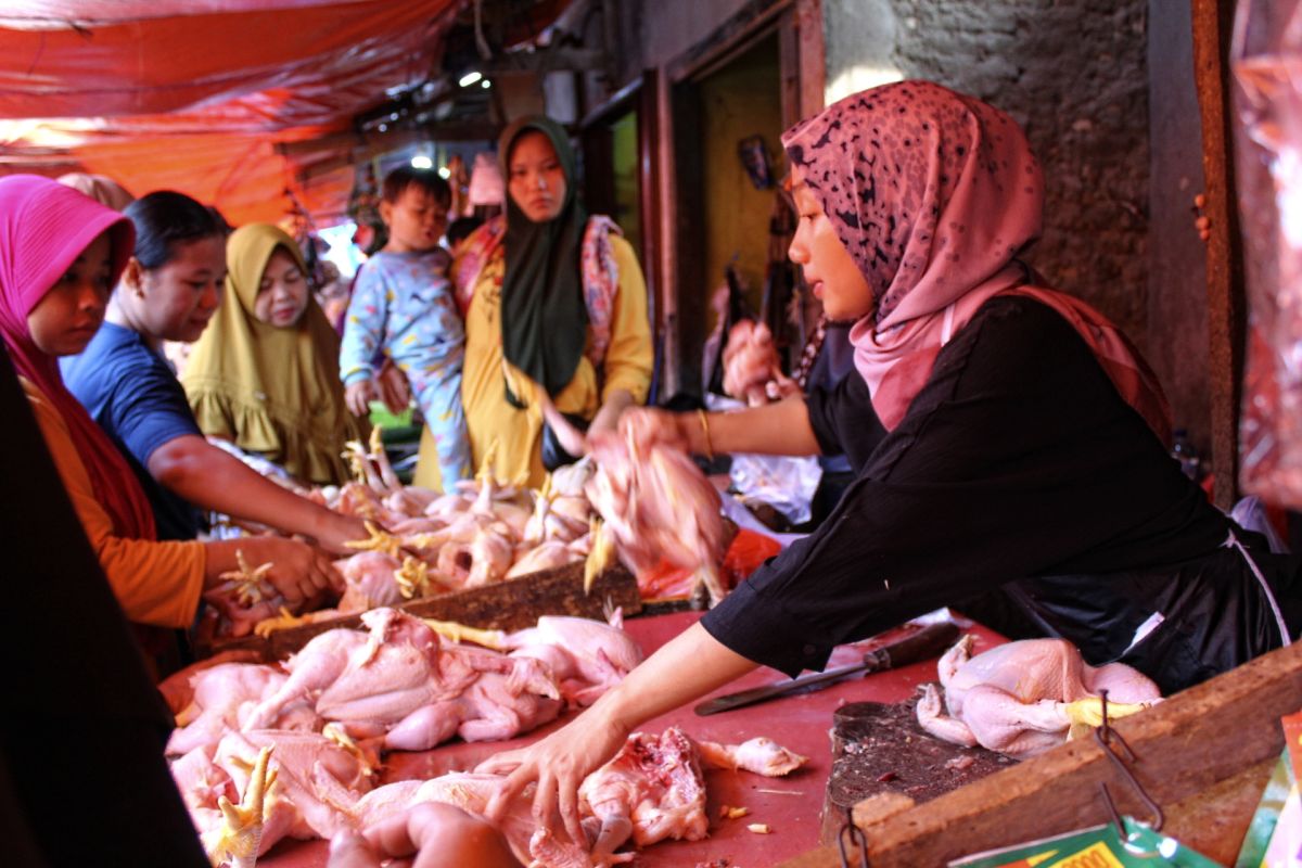 Disperindag Lampung: Ketersediaan pangan cenderung stabil