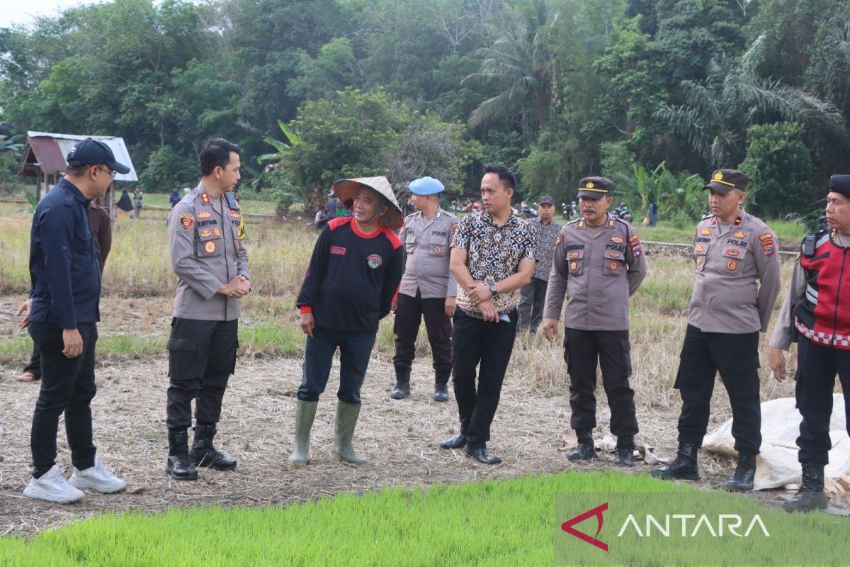 Polres dan DKP3 Balangan sinergi dukung program menanam padi nasional