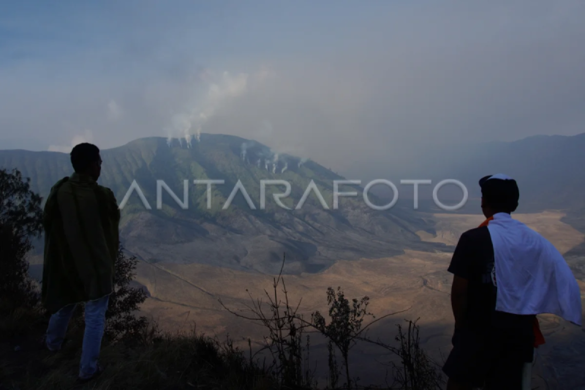 Kebakaran Hutan Dan Lahan Di Gunung Bromo - ANTARA Sumbar