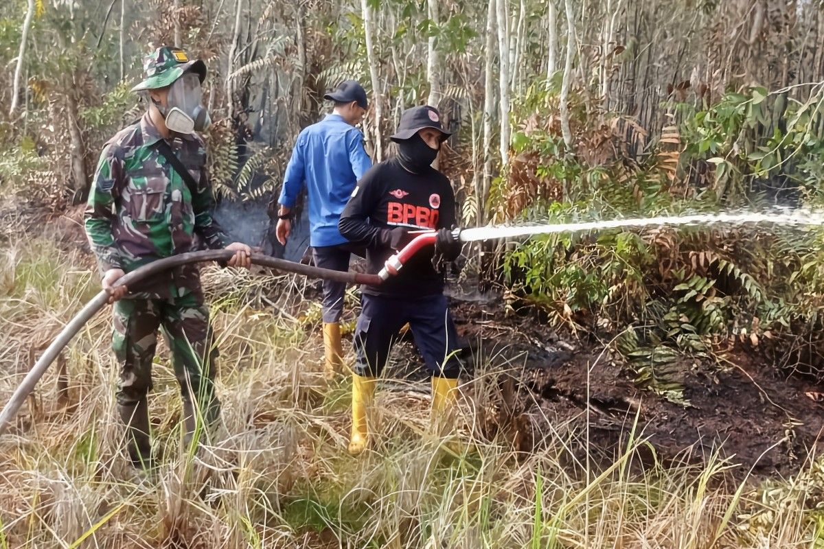 Berikut luasan lahan terbakar di Kabupaten Kapuas
