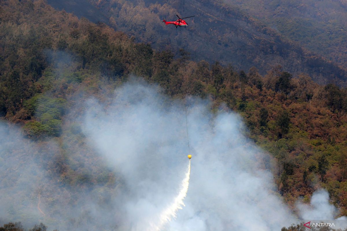 Satgas Darat efektif tangani kebakaran Gunung Arjuno
