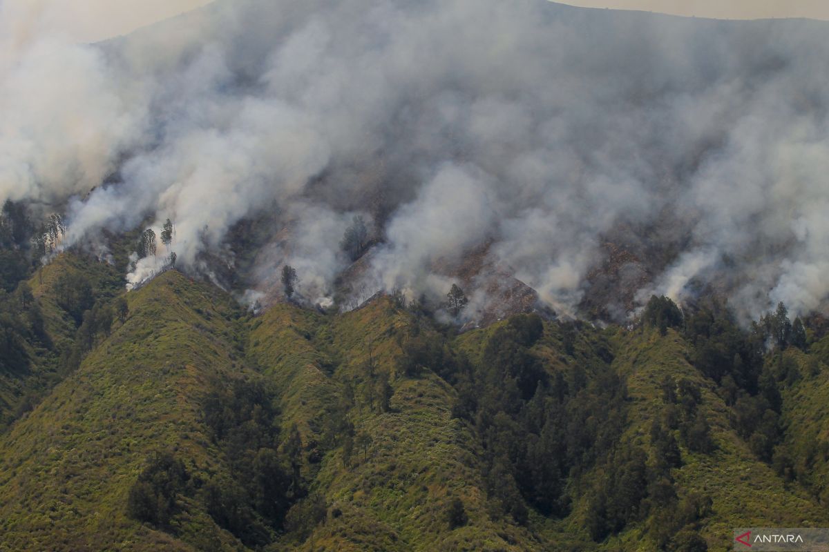 Tornado api muncul di kebakaran gunung Bromo, begini penjelasannya