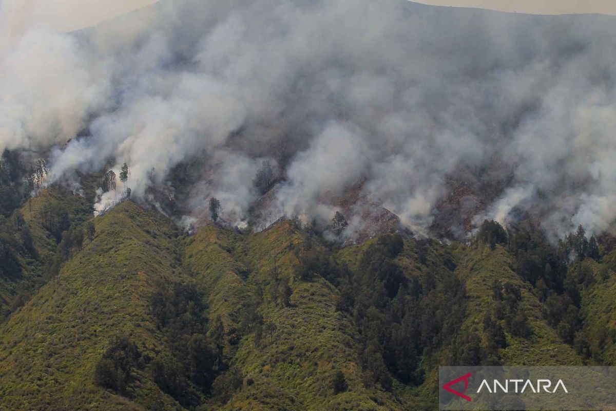 Fire from flare on Mount Bromo proving difficult to contain: Ministry