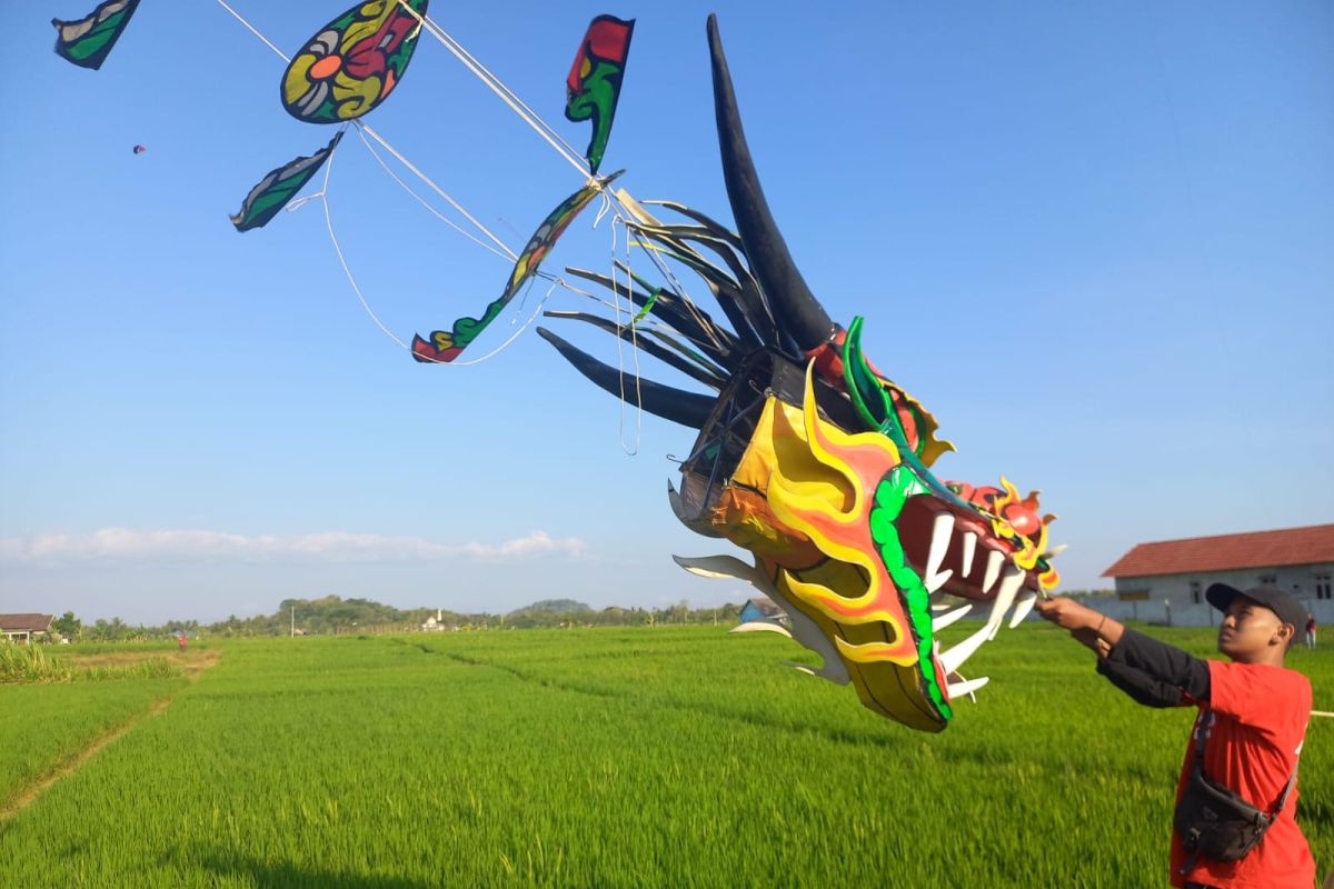 "Ngaran Kite Festival" mengajak kaum muda turun ke sawah merawat tradisi