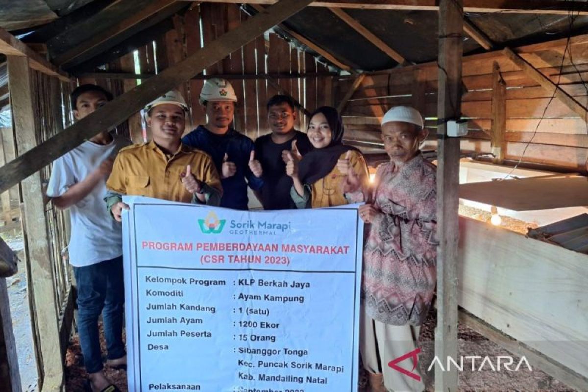 Didukung SMGP, Desa Sibanggor Tonga kembangkan ternak ayam kampung