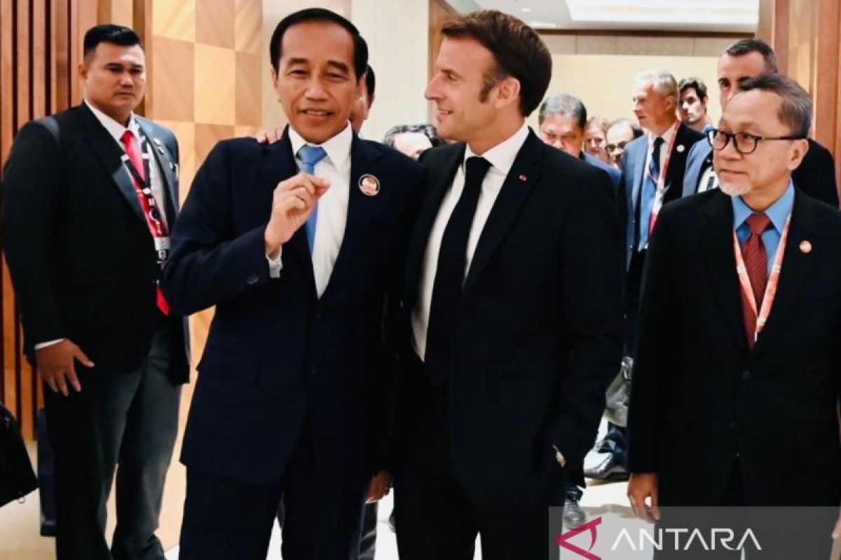Jokowi asks France's support for Indonesia's OECD bid